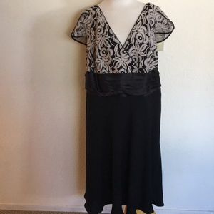 Jessica London Black and Tan Dress